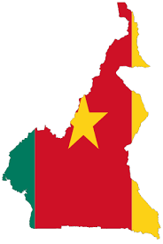 le guide du Cameroun